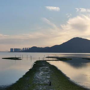 毛茸茸女人和驴性交
