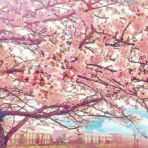 毛茸茸女人和驴性交
