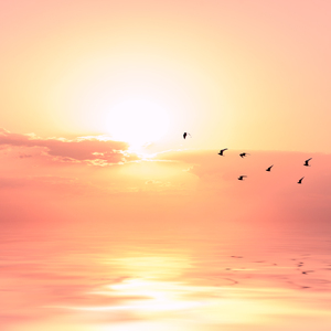 毛茸茸女人和驴性交
